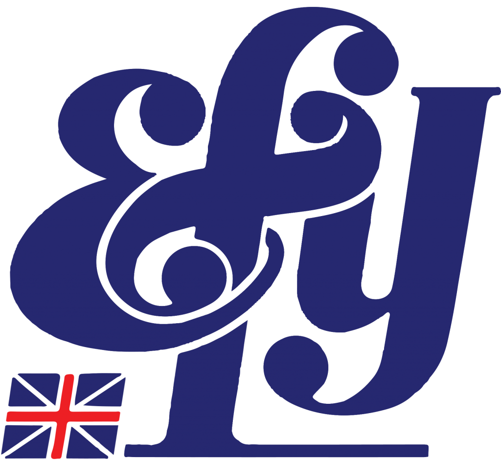 English for You language school logo